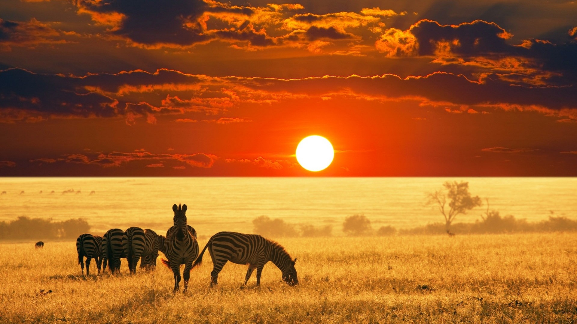 safari-en-kenya_-parque-nacional-samburu3